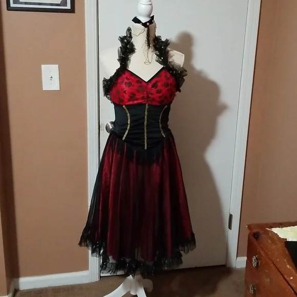 Costume, Rouge Dancer . Adults size 8 - Picture 1 of 5